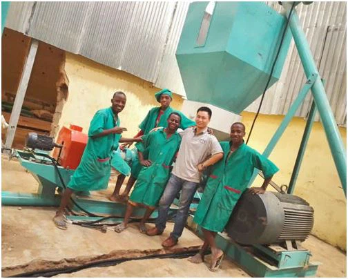 pellet plant for sale