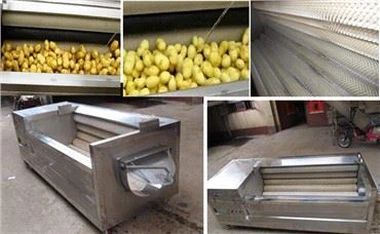 Máquina de limpeza de frutas da máquina de lavar legumes de gengibre de cenoura de batata