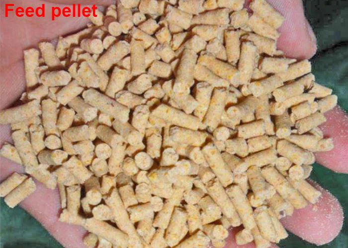 feed pellet mill